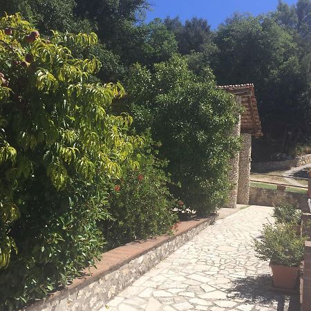 Belvedere Cramaccioli Vigne Екстериор снимка
