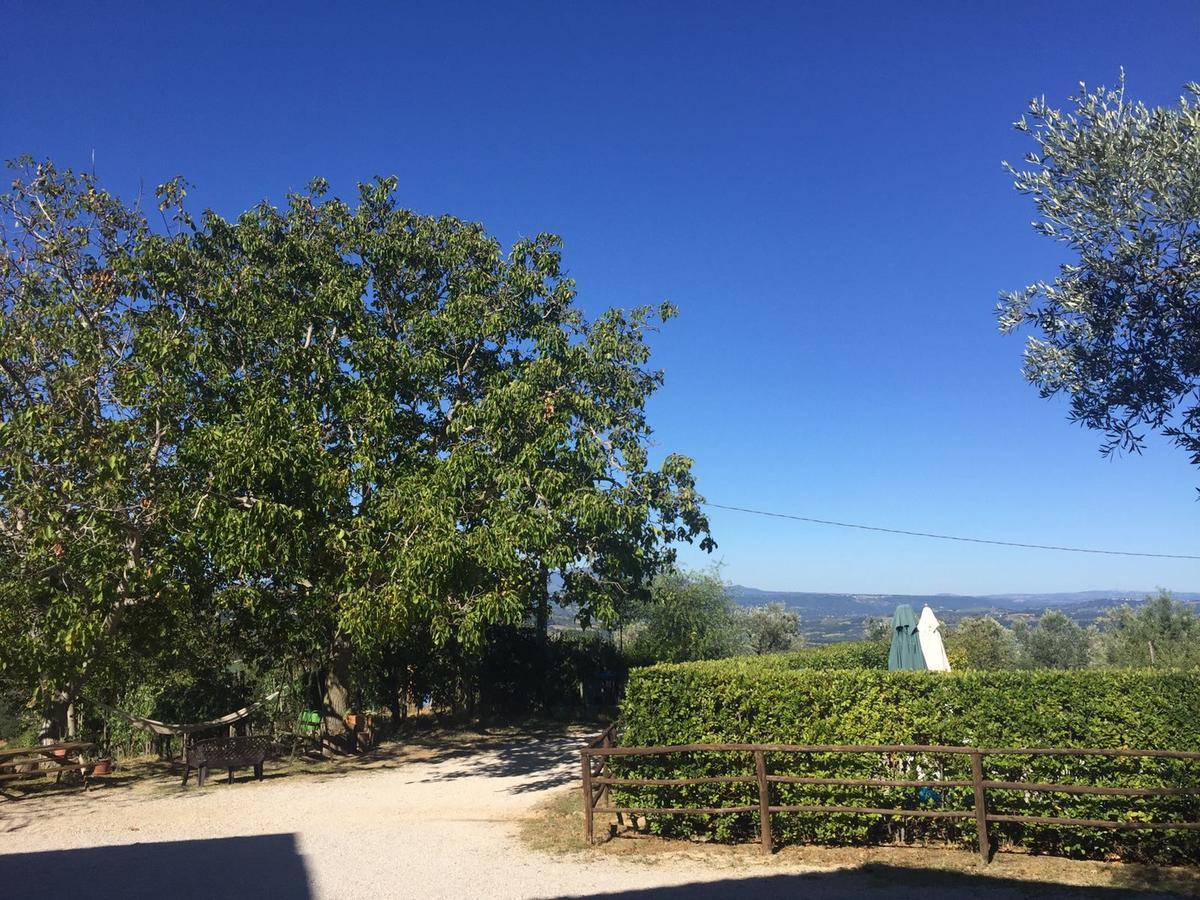 Belvedere Cramaccioli Vigne Екстериор снимка
